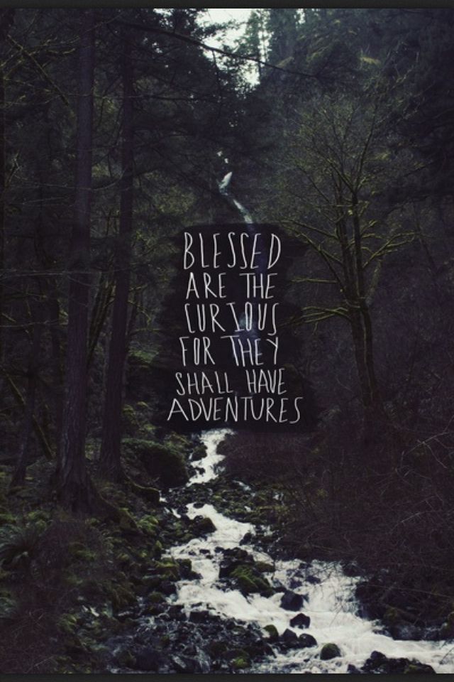 Blessed are the curious for they shall have adventures]